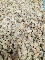 সবুজ কিশমিশ Seedless Green Raisin - Image 2