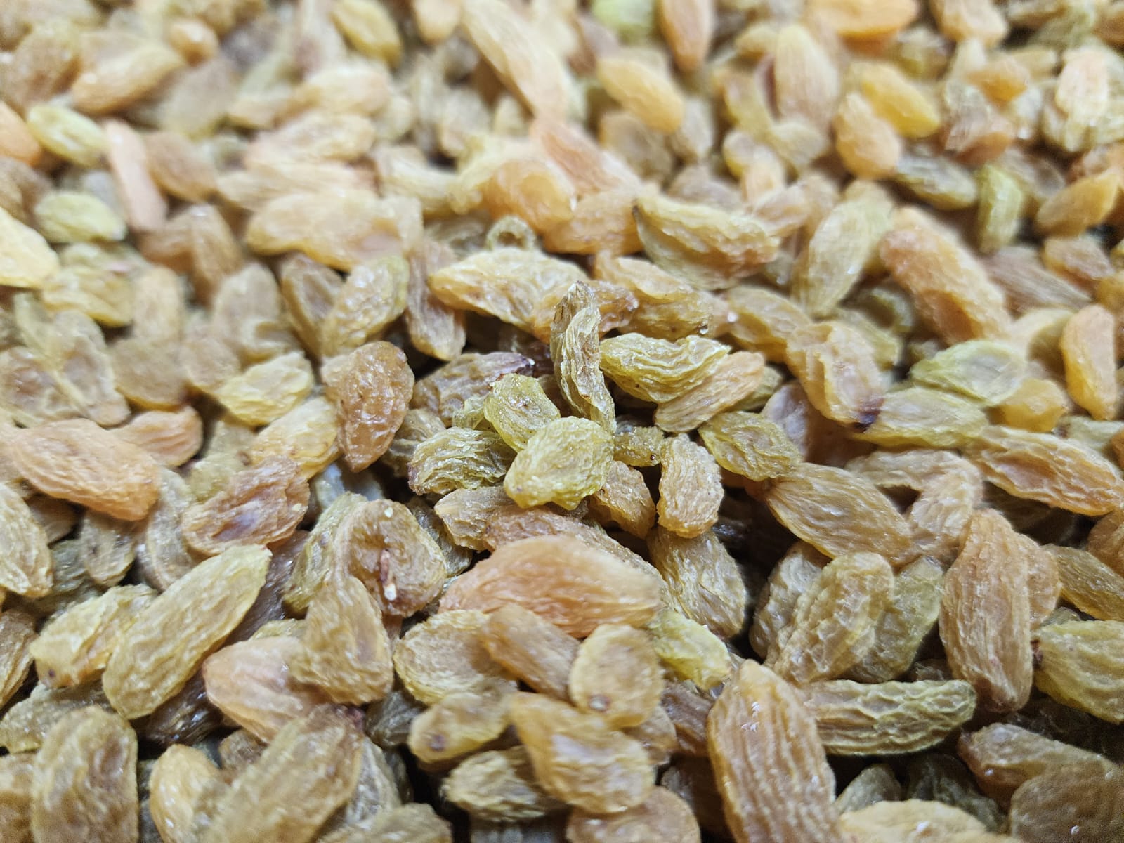 WhatsApp-Image-2026-08-13-at-7.52.36-PM-1.jpeg সবুজ কিশমিশ Seedless Green Raisin - Image 1