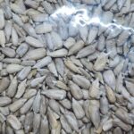 সূর্যমুখী বীজ বা সানফ্লাওয়ার সিডস (Sunflower Seeds