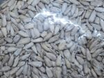 সূর্যমুখী বীজ বা সানফ্লাওয়ার সিডস (Sunflower Seeds - Image 4