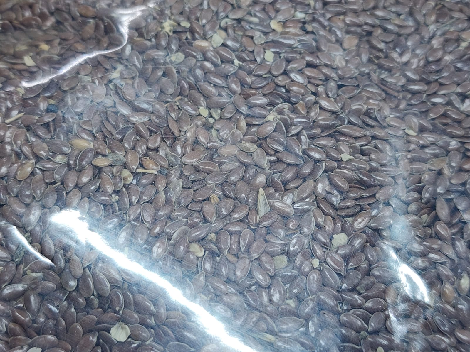 WhatsApp-Image-2026-08-15-at-11.33.52-AM.jpeg তিসি বীজ ( Flax Seeds বা Linseed ) - Image 1