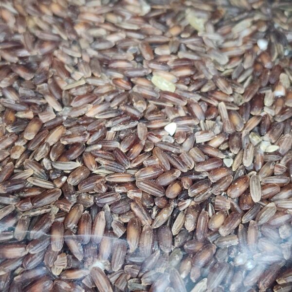 লাল চাল (Red Rice)