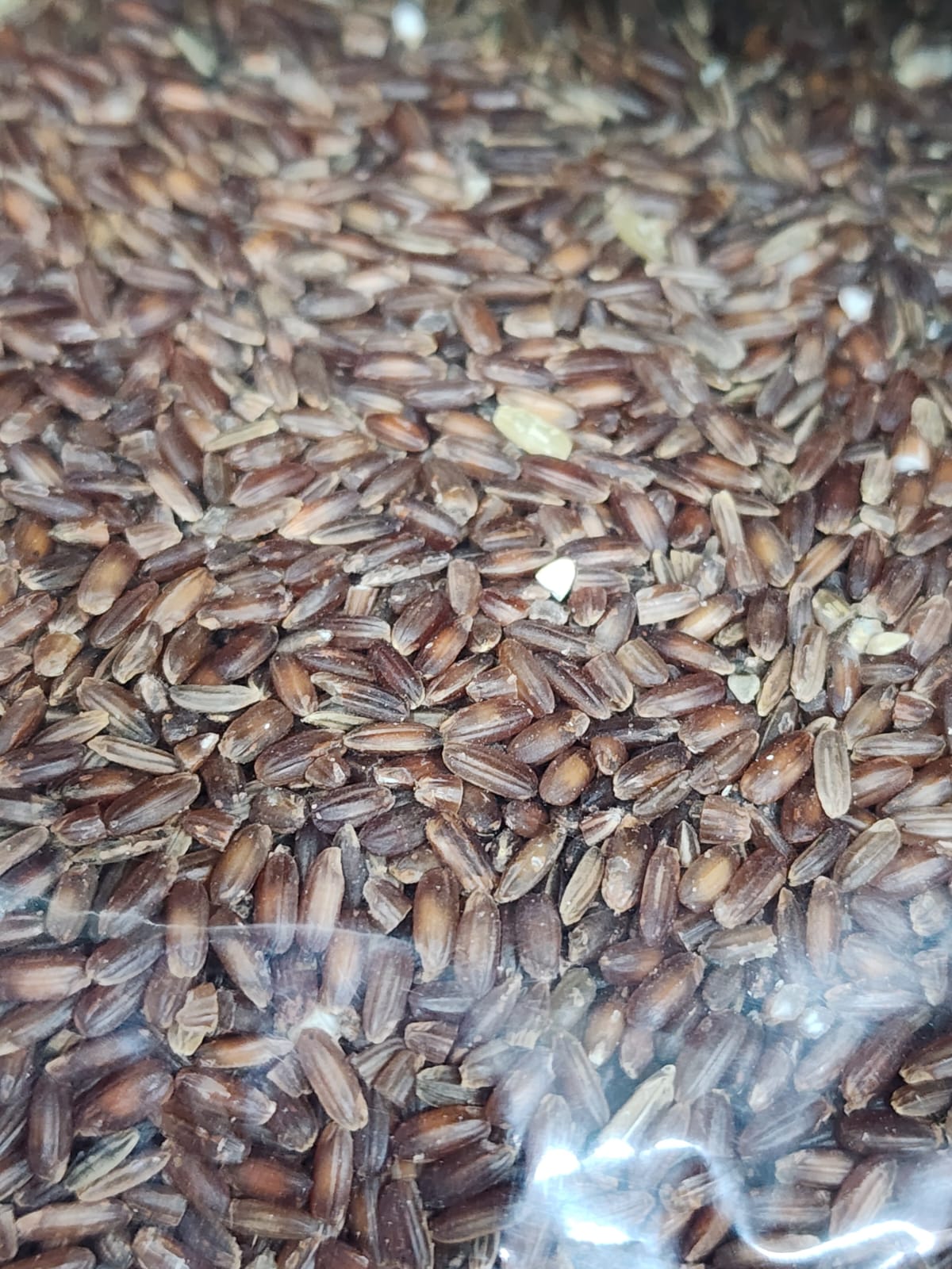 WhatsApp-Image-2026-08-15-at-11.50.55-AM-1.jpeg লাল চাল (Red Rice) - Image 1