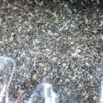 চিয়া সিড (Chia Seeds)