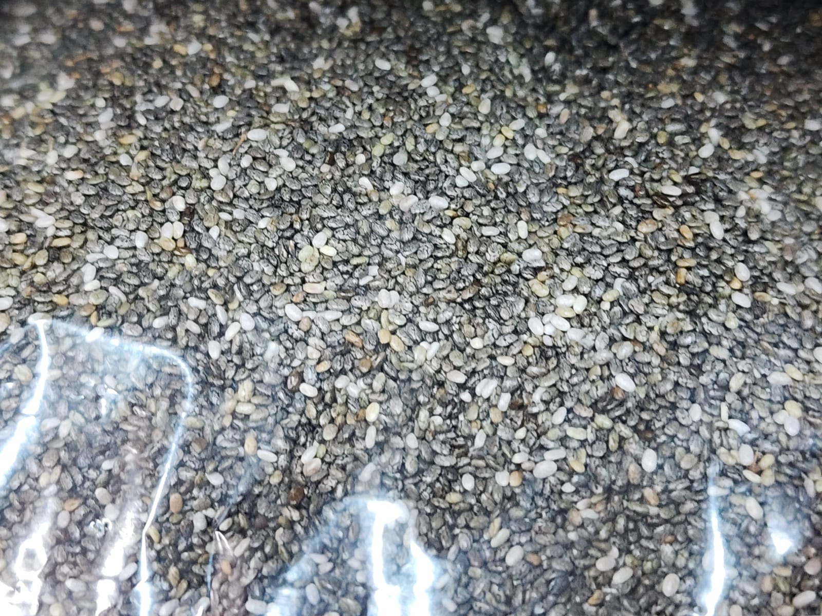 WhatsApp-Image-2026-08-15-at-11.53.00-AM.jpeg চিয়া সিড (Chia Seeds) - Image 1